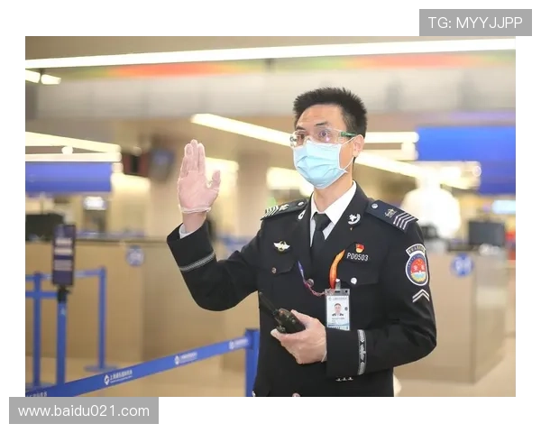深圳排球队逆袭之旅揭示团队精神与奋斗的力量 深圳排球队逆袭之旅揭示团队精神与奋斗的力量